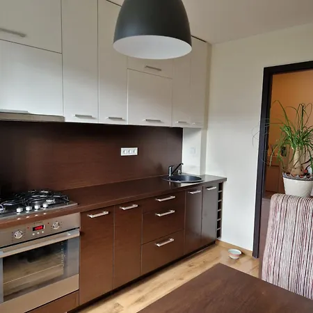 Apartment Siaure Kaunas