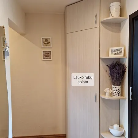 Apartment Siaure Kaunas